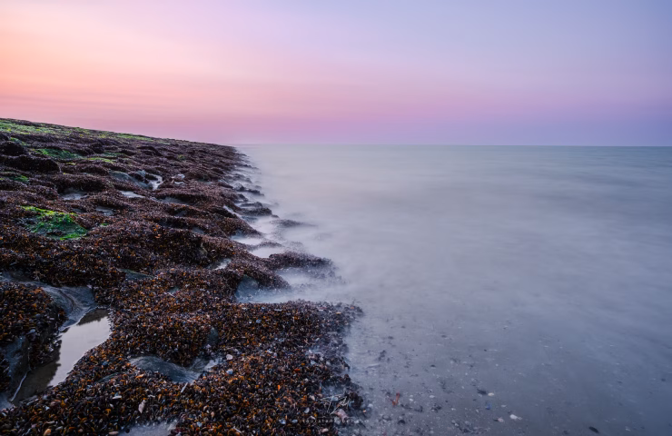 A shell-covered groyne stretches out into a sea blurred by long exposure. The sky glows in shades of blue and magenta from the sunset. The image conveys a calm atmosphere.